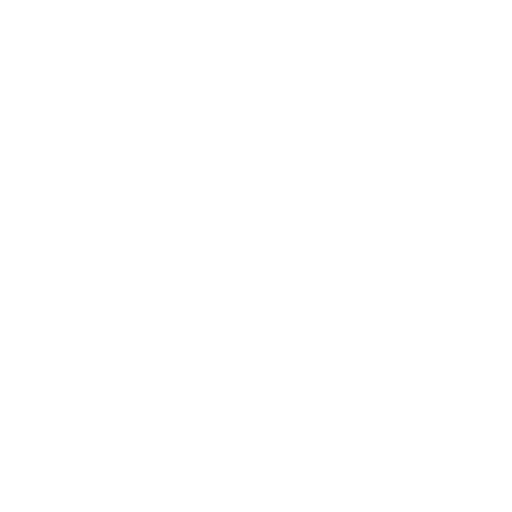 play icon